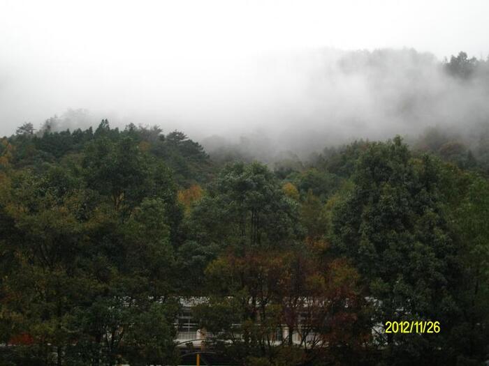 山在虛無縹緲間：樹上雲稍的秀巒深秋驟雨即景